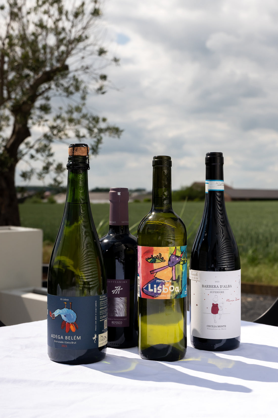 Welke wijn drinken met warm weer? De fysiologie van frisheid! - Touch Wijnen