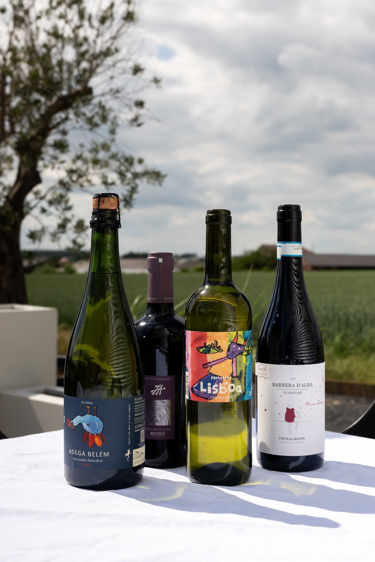 Welke wijn drinken met warm weer? De fysiologie van frisheid! - Touch Wijnen