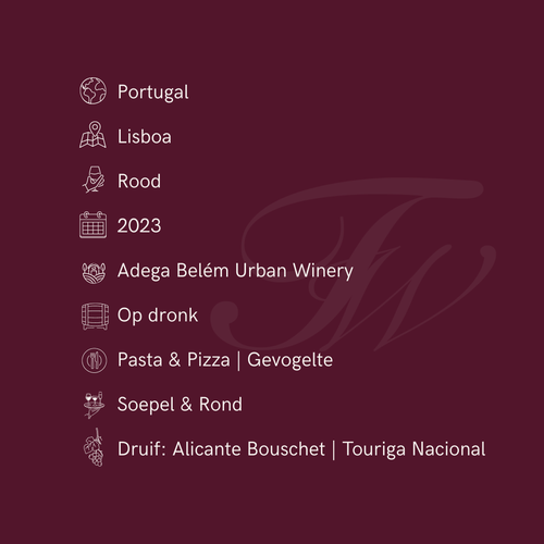 Cellar Dog Selection Lili Tinto 2023