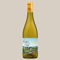 Sauvignon